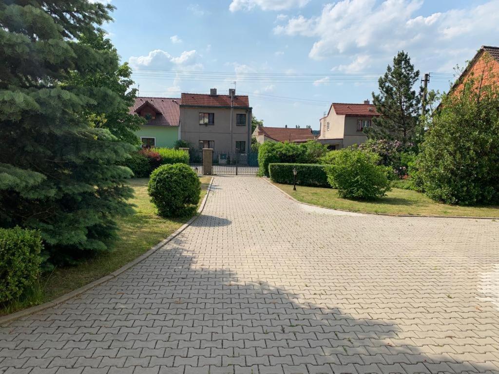 Dogs Resort And Spa Horni Bezdekov Bagian luar foto