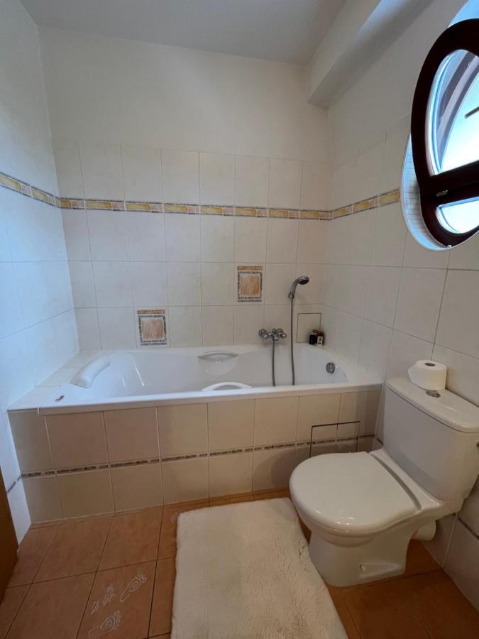 Dogs Resort And Spa Horni Bezdekov Bagian luar foto