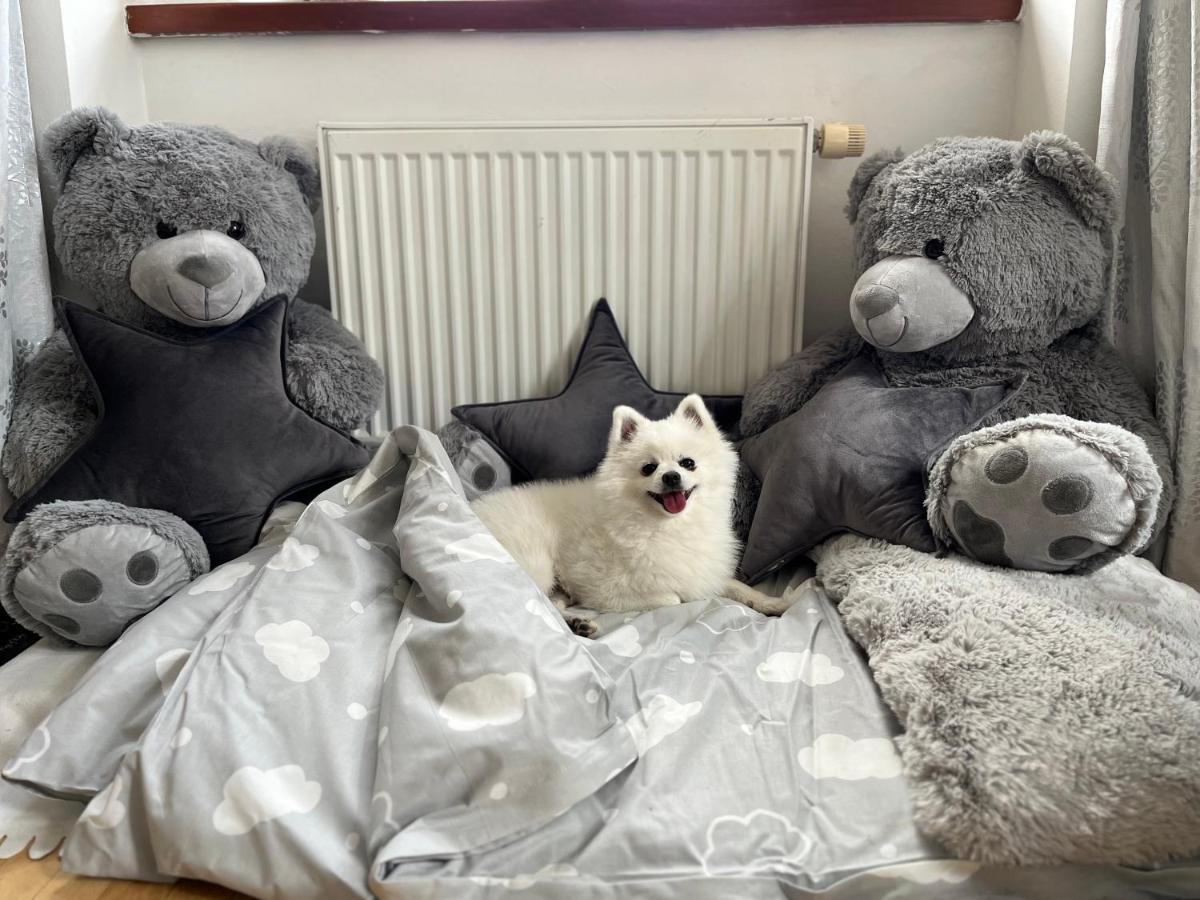 Dogs Resort And Spa Horni Bezdekov Bagian luar foto