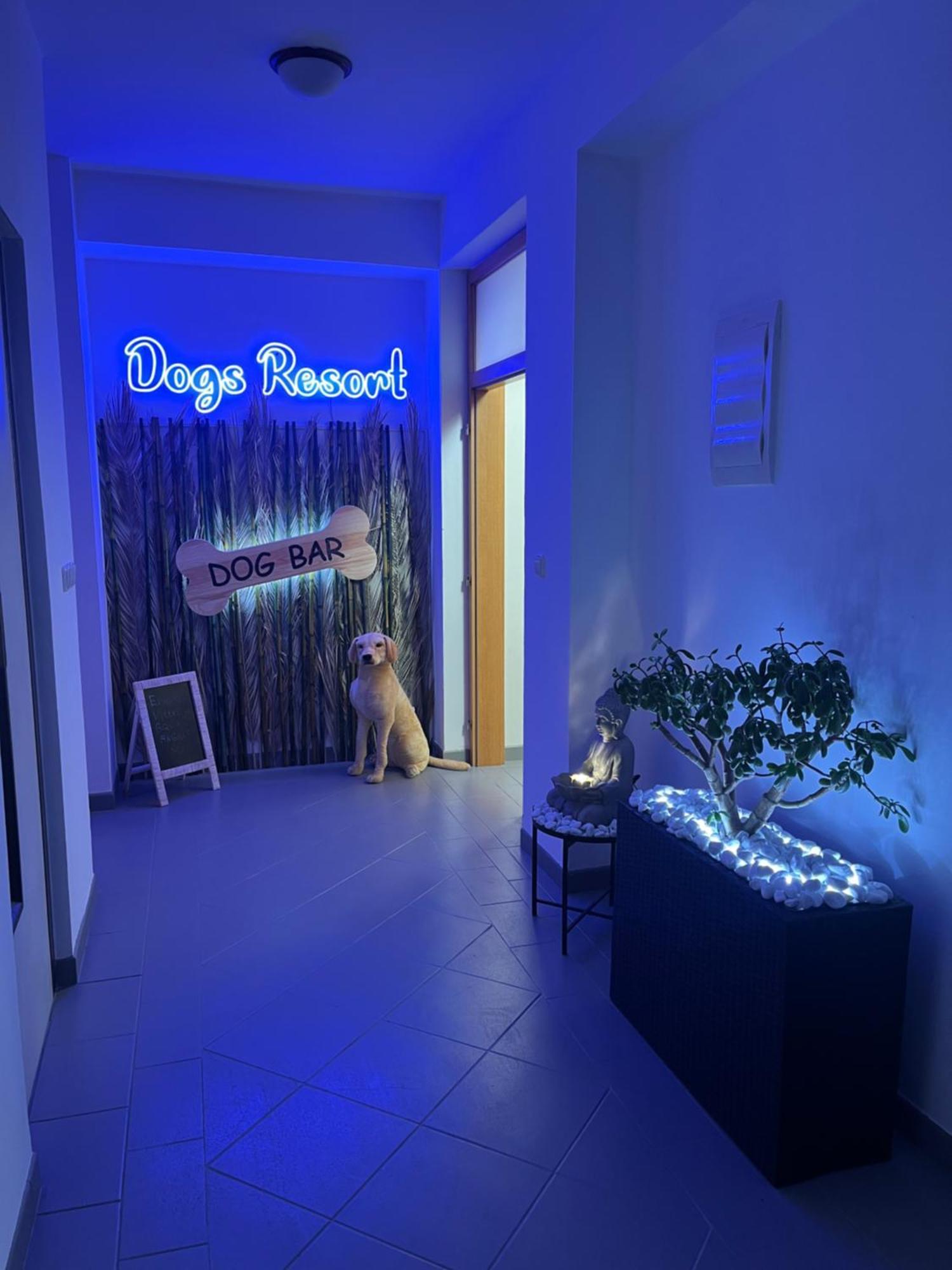 Dogs Resort And Spa Horni Bezdekov Bagian luar foto